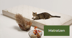 Matratzen