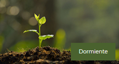 Dormiente